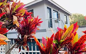 Starlight Guest House